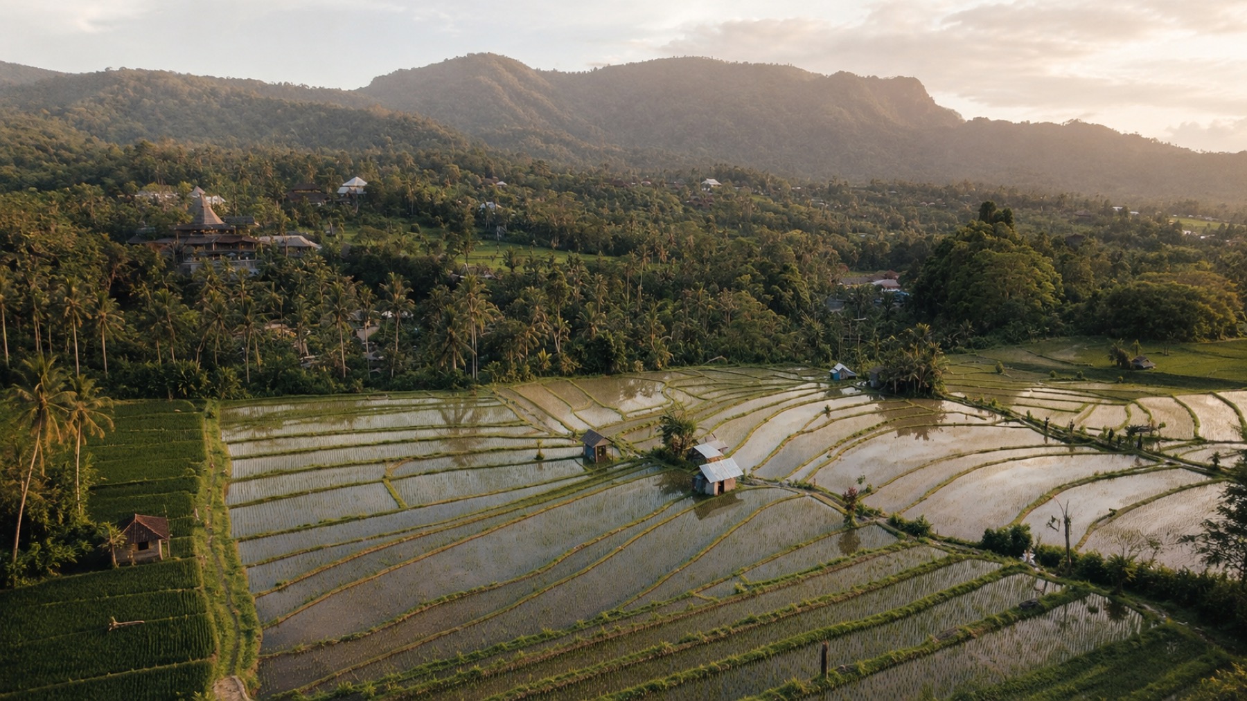 Morning light across Sidemen rice fields