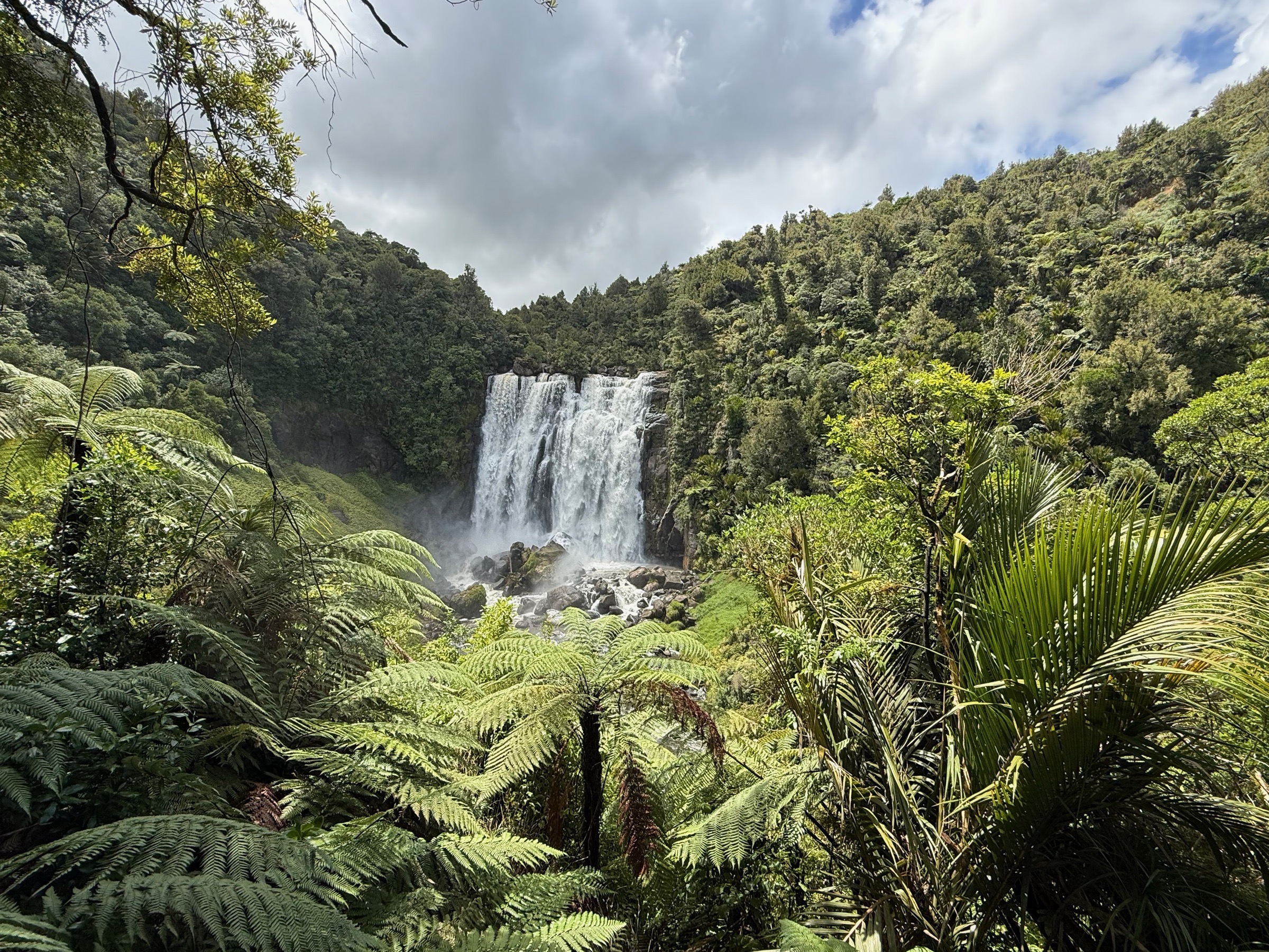 Marokopa Falls dropping through native bush and tree ferns